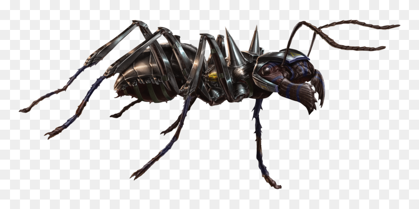 1780x820 Image - Ant PNG