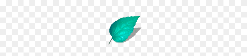 159x132 Image - Mint Leaf PNG