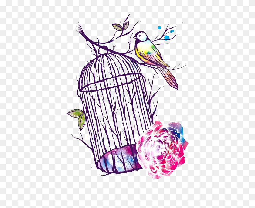 500x625 Image - Bird Cage PNG