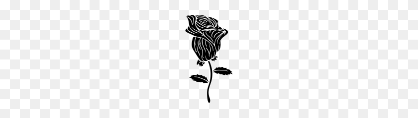 178x178 Image - Black Rose PNG