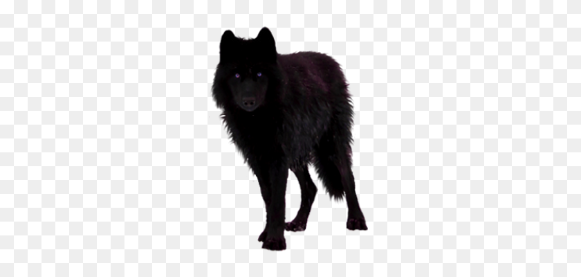 235x340 Image - Black Wolf PNG