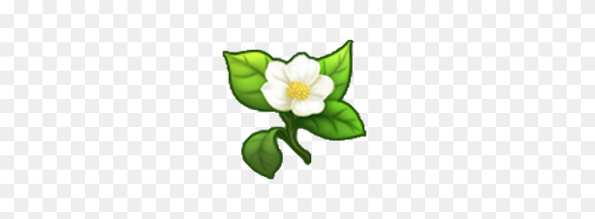 250x250 Image - Blossom PNG