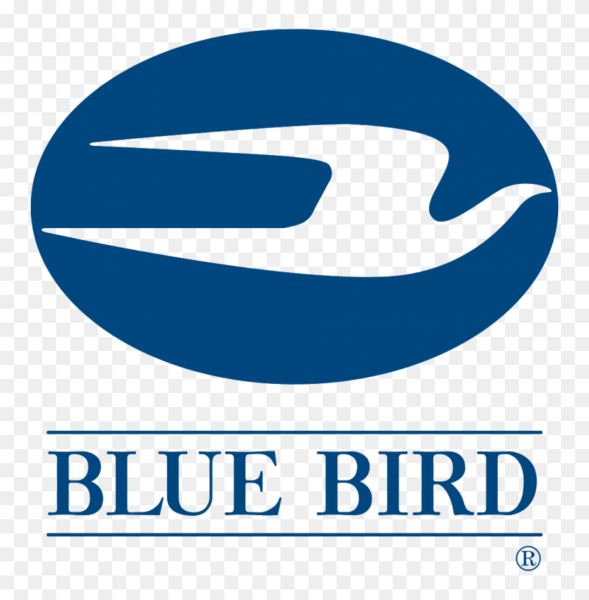 1004x1024 Image - Blue Bird PNG