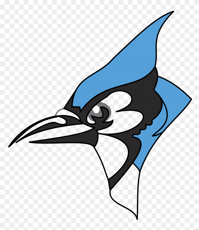 1000x1167 Image - Blue Jay PNG