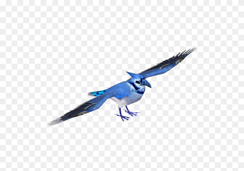 530x530 Image - Blue Jay PNG