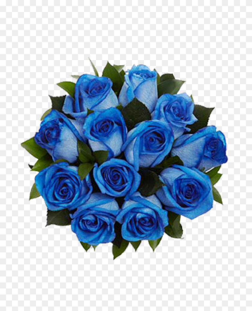 780x975 Image - Blue Rose PNG