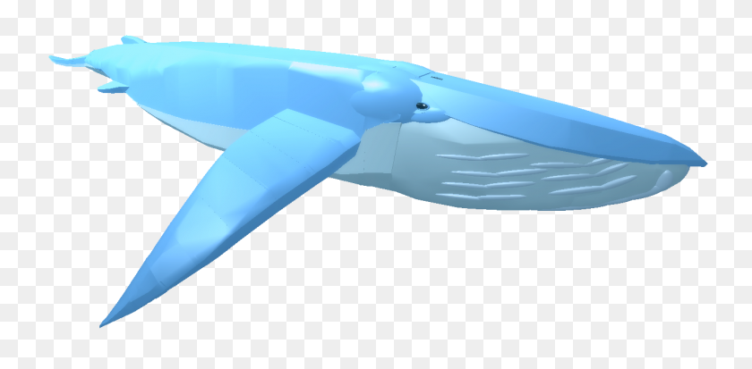 1336x605 Image - Blue Whale PNG