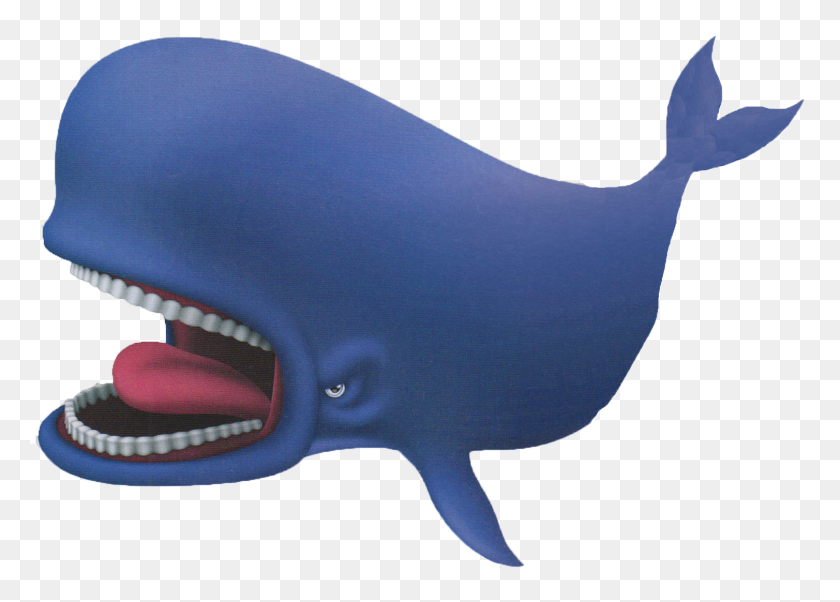 1508x1048 Image - Blue Whale PNG