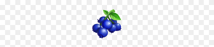 128x128 Image - Blueberry PNG