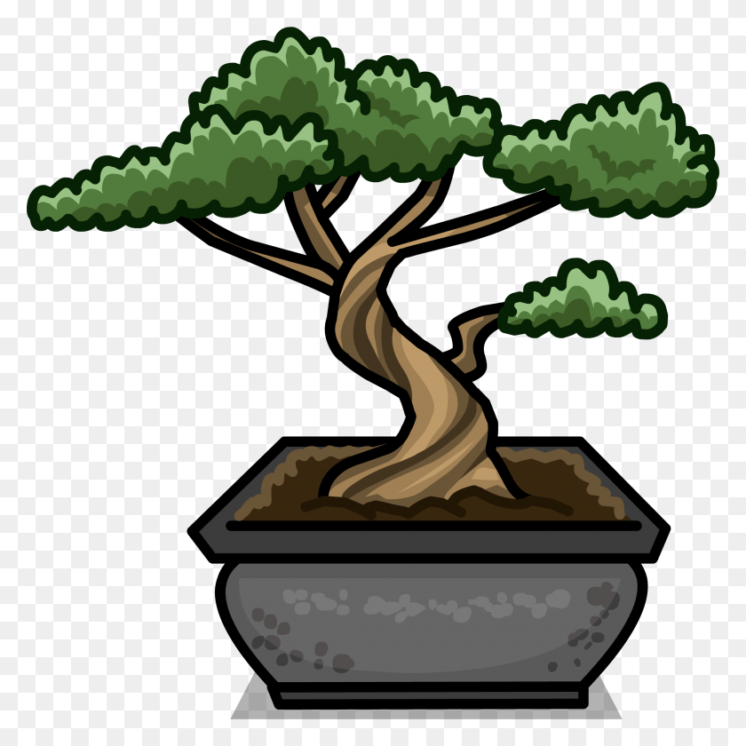 2115x2117 Image - Bonsai Tree PNG