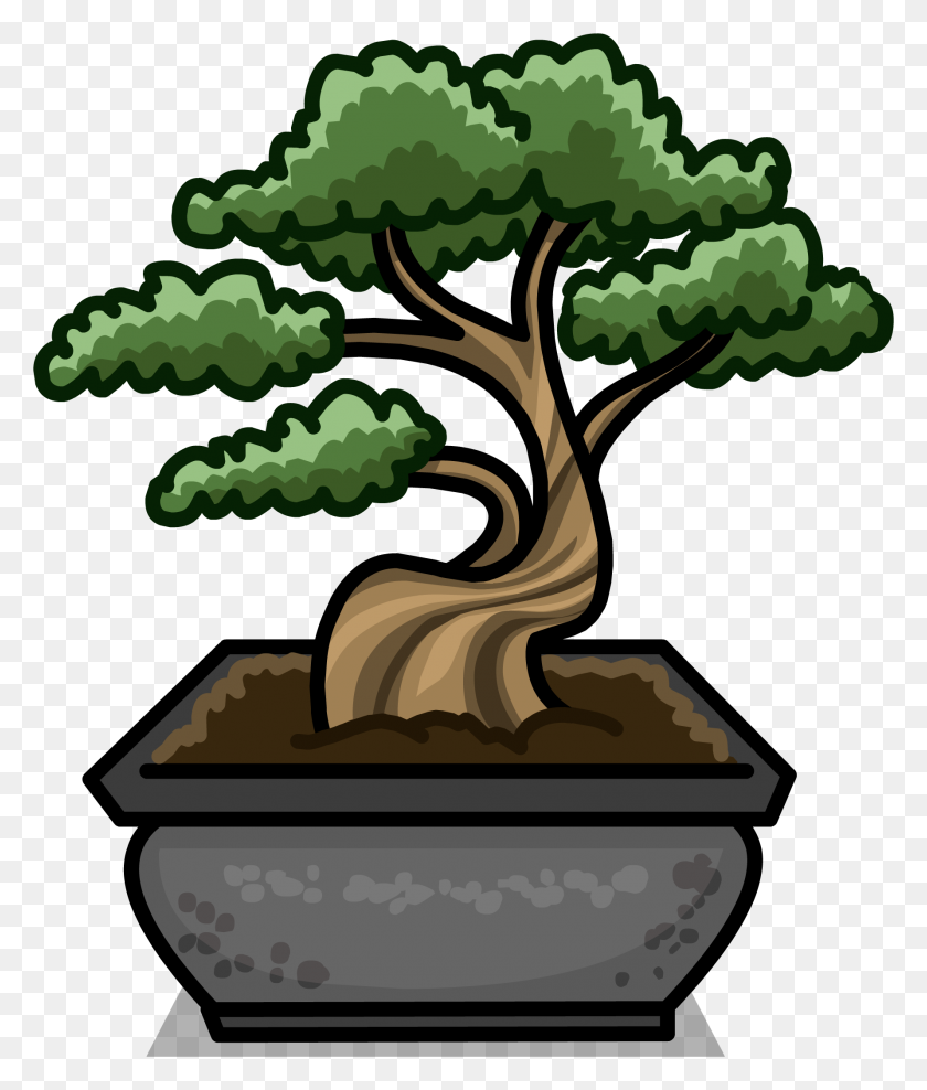 1780x2119 Image - Bonsai Tree PNG