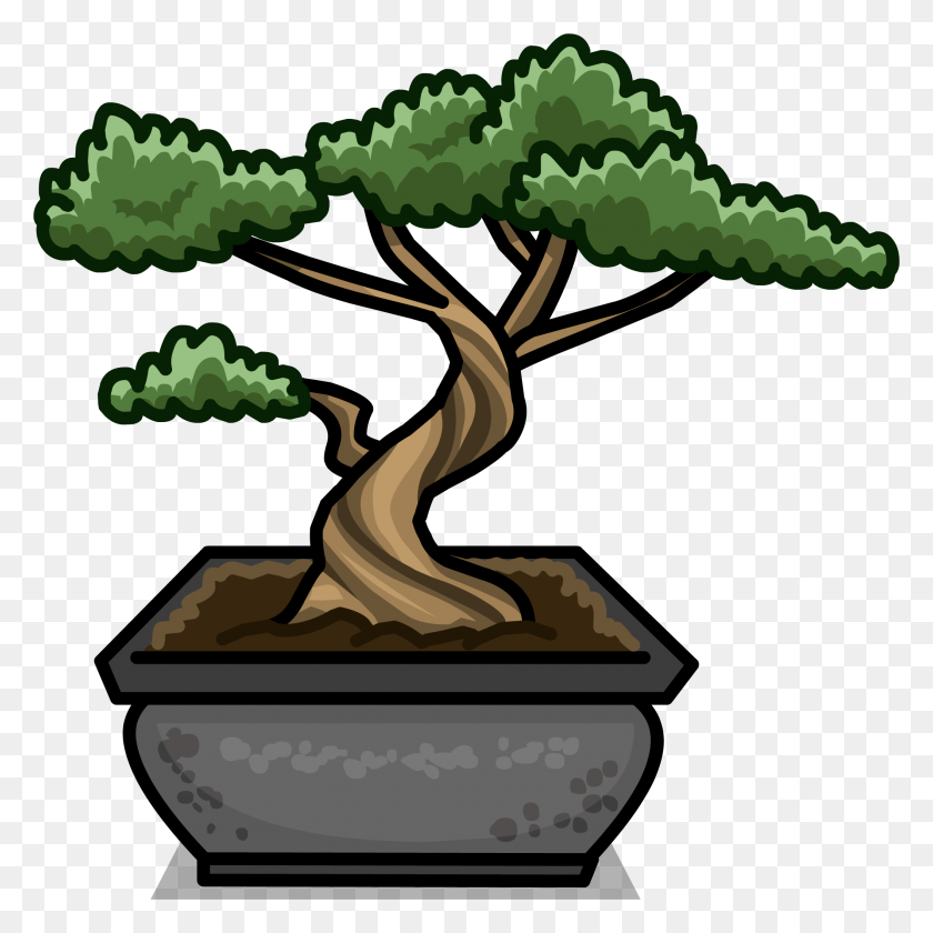 Image Bonsai Tree Png Stunning Free Transparent Png Clipart Images Free Download
