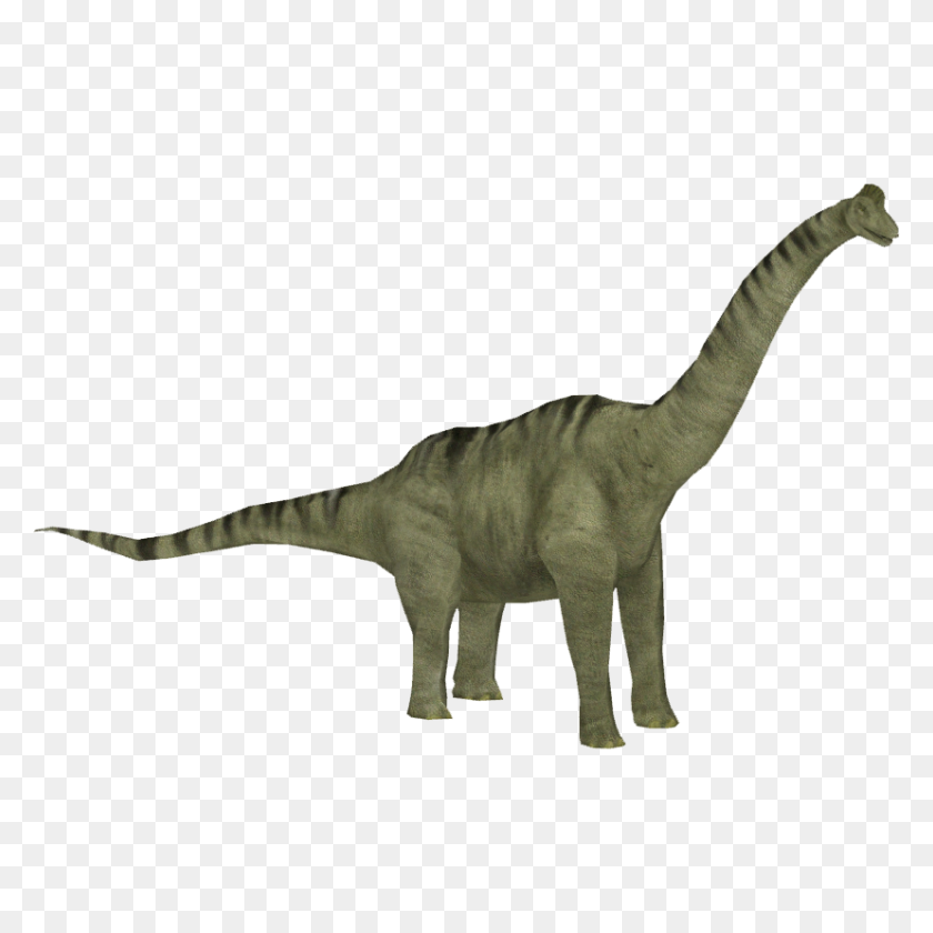 828x828 Imagen - Brachiosaurus Png