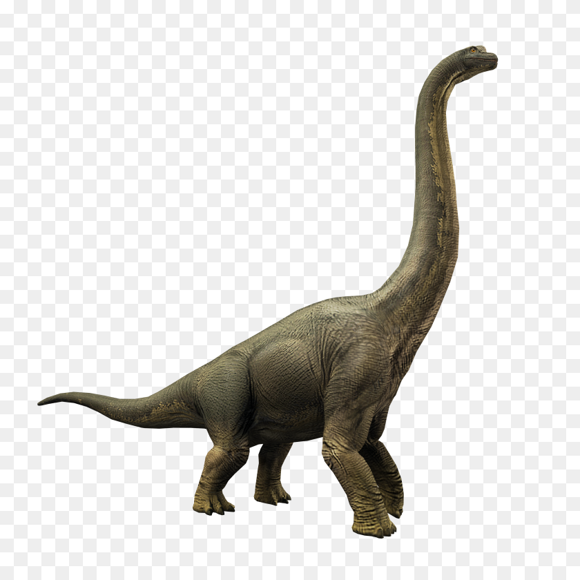 3000x3000 Image - Brachiosaurus PNG