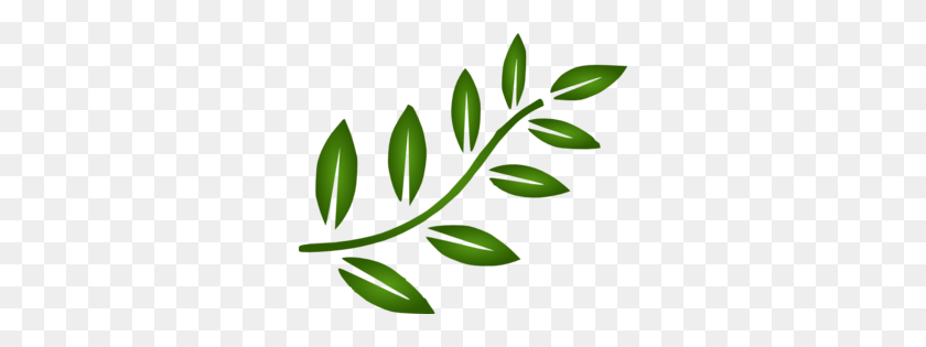 298x255 Image - Branch PNG