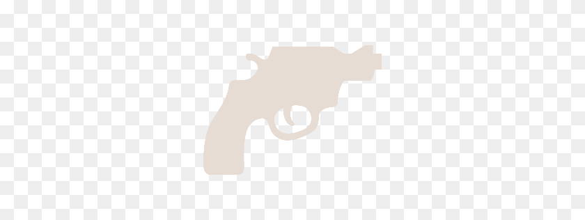 256x256 Image - Bullet Icon PNG