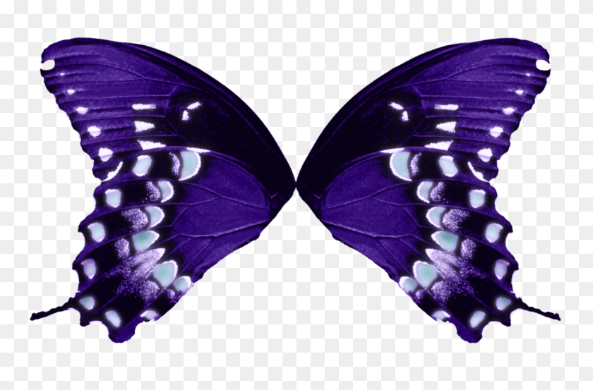 1123x711 Image - Butterfly Wings PNG