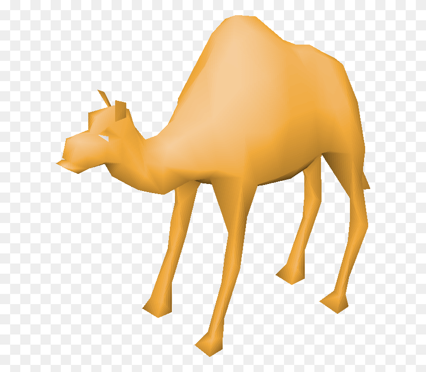 620x674 Image - Camel PNG
