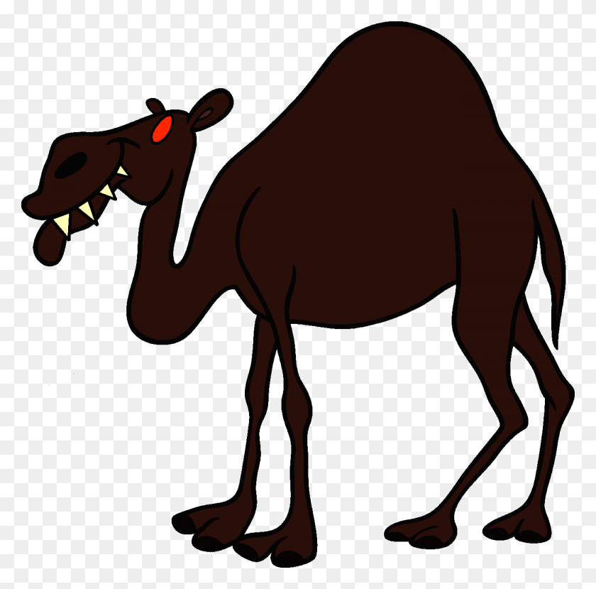 1300x1282 Image - Camel PNG