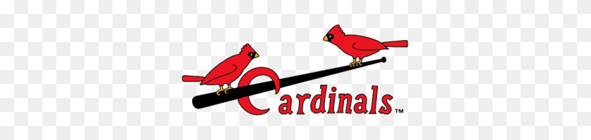 325x140 Image - Cardinals Logo PNG