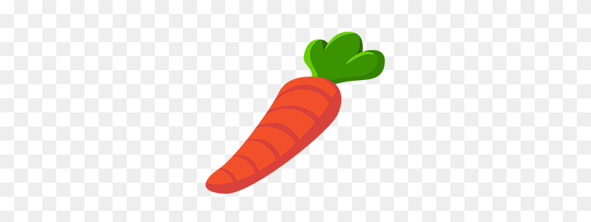 256x256 Image - Carrot PNG