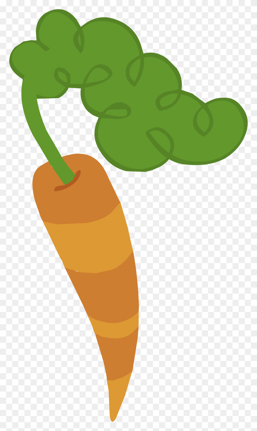 1664x2878 Image - Carrot PNG