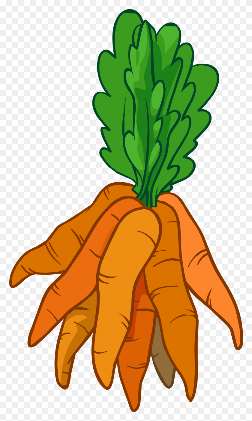 Морковки мультяшные