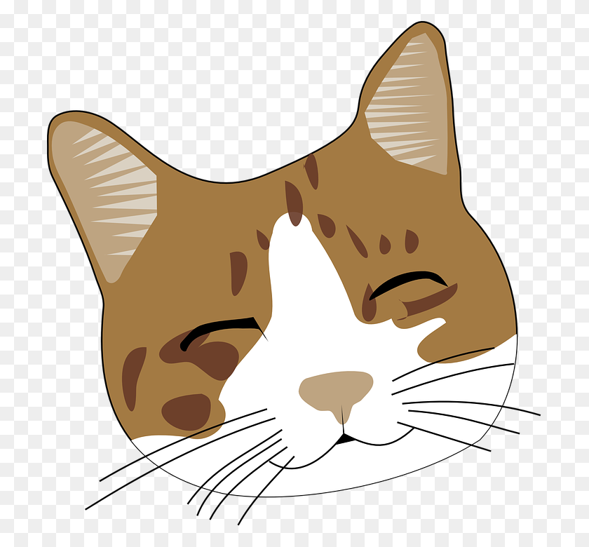705x720 Image - Cat Whiskers PNG