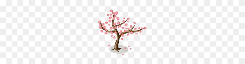 170x160 Image - Cherry Blossom Tree PNG