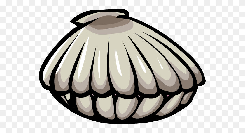 571x398 Image - Clam PNG