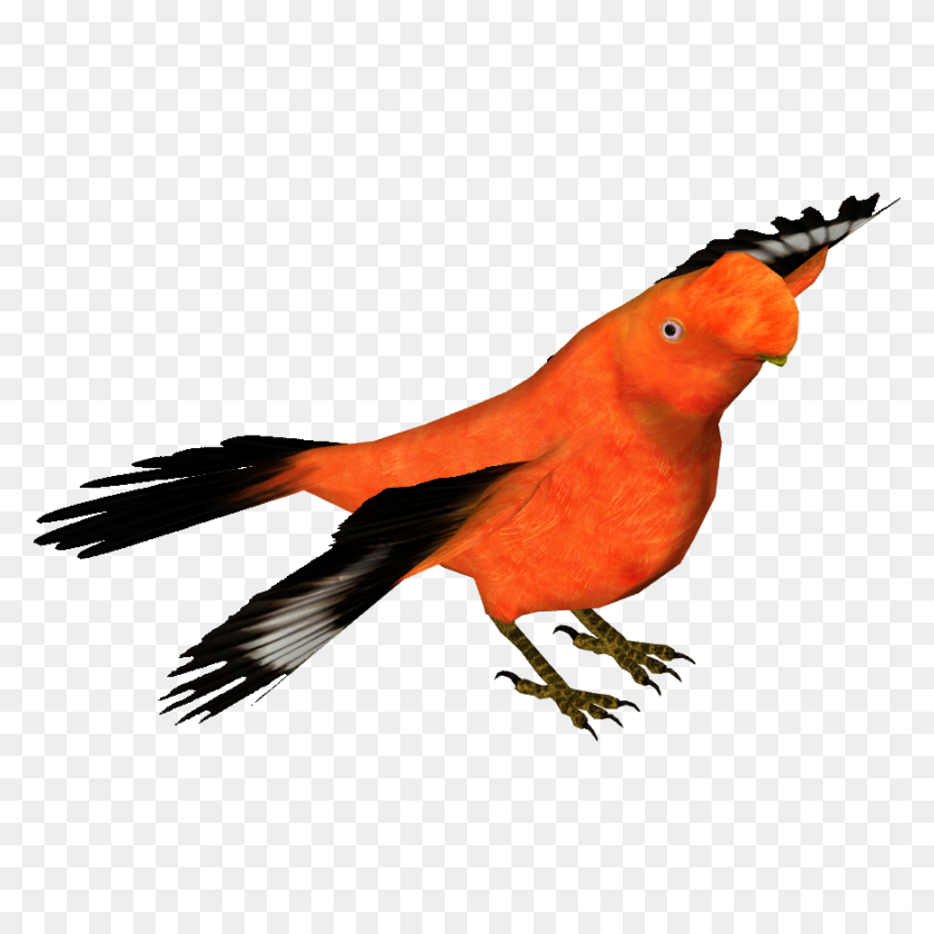 876x876 Image - Cock PNG