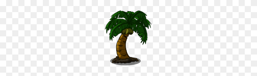 161x191 Image - Coconut Tree PNG