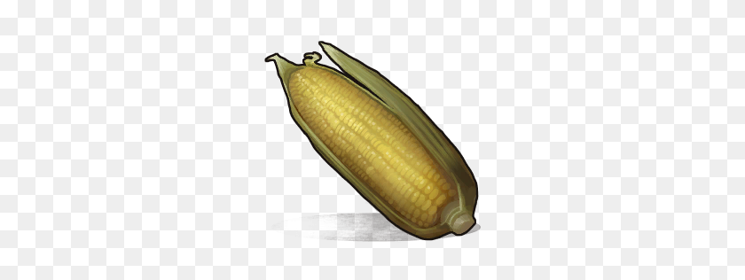 256x256 Image - Corn On The Cob PNG