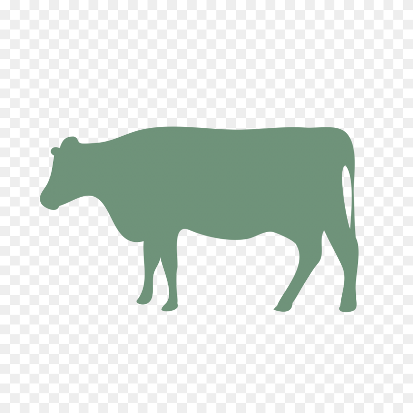 1200x1200 Image - Cow PNG