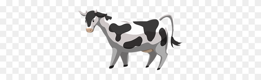 336x200 Image - Cow PNG