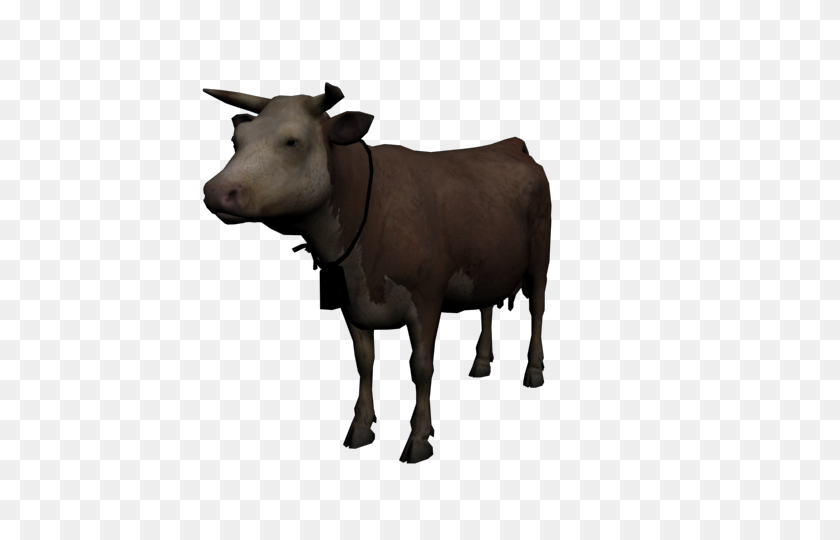 640x480 Image - Cows PNG