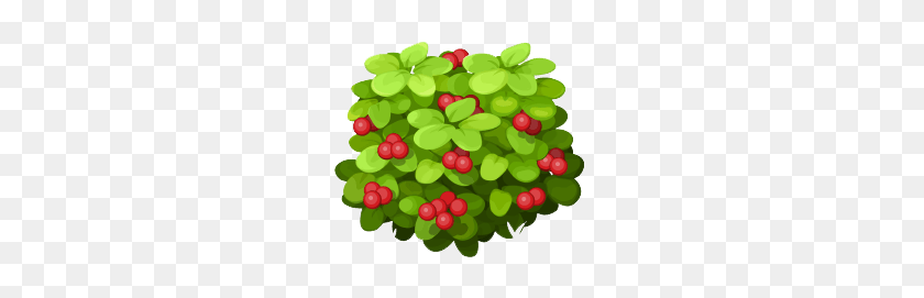244x211 Image - Cranberry PNG