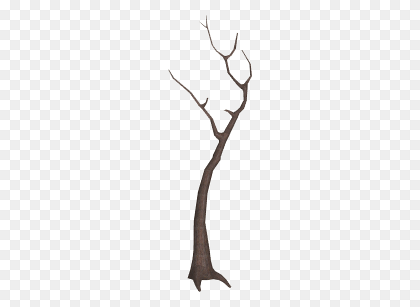 554x554 Image - Dead Tree PNG