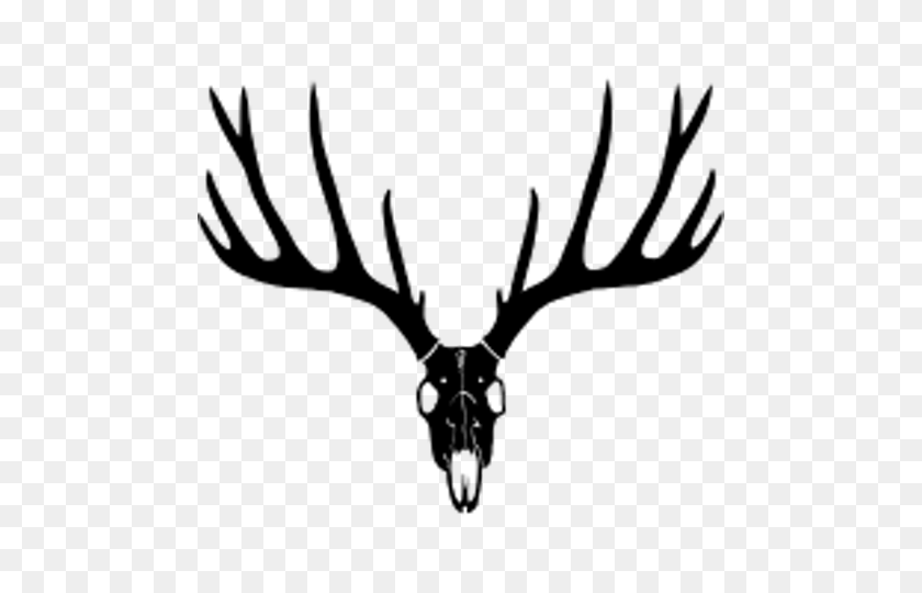 480x480 Image - Deer Skull Clipart