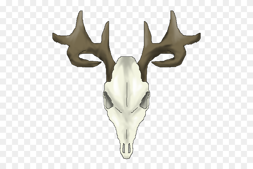 502x500 Image - Deer Skull PNG
