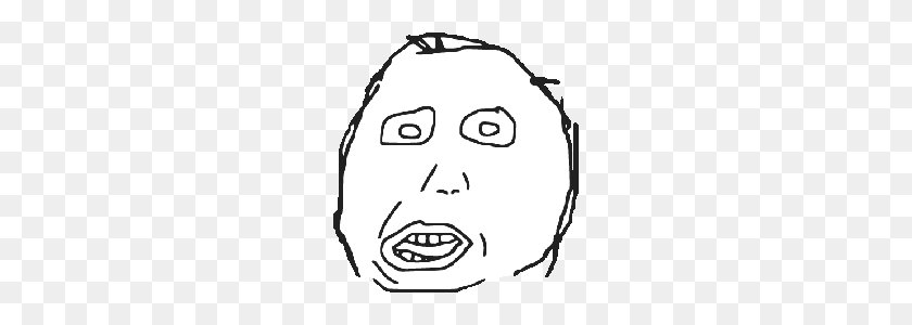 226x240 Image - Derp Face PNG