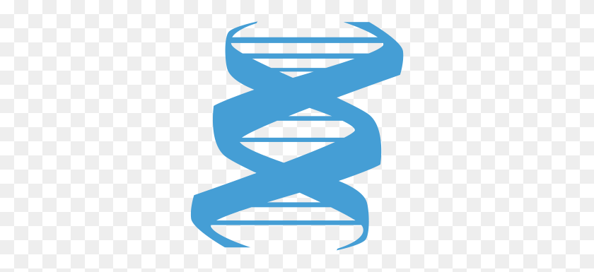 302x325 Image - Dna Strand PNG