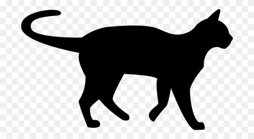 700x401 Image - Dog And Cat PNG