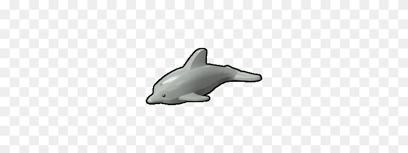 256x256 Image - Dolphin PNG