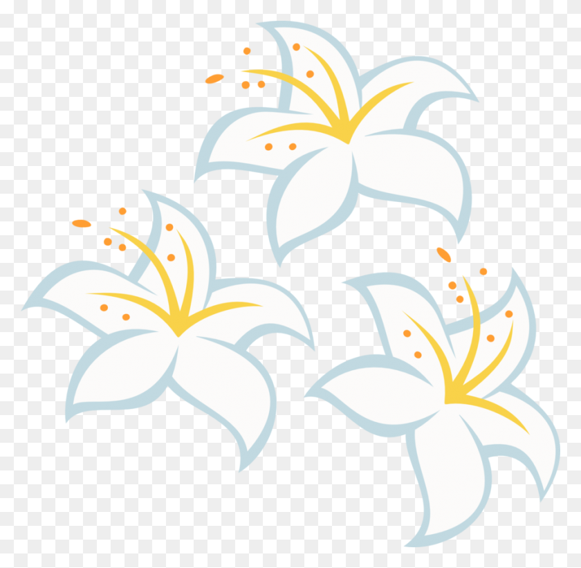 904x883 Image - Easter Lily PNG
