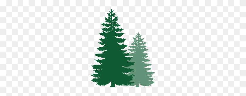 220x270 Image - Evergreen PNG