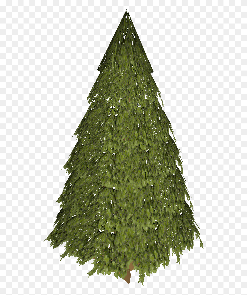 544x944 Image - Evergreen PNG