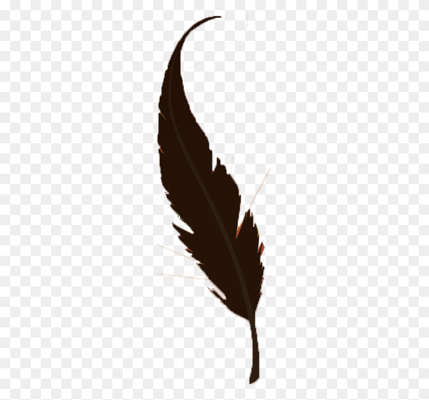 228x722 Image - Feather Silhouette PNG