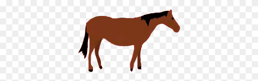 340x205 Image - Mustang Horse PNG