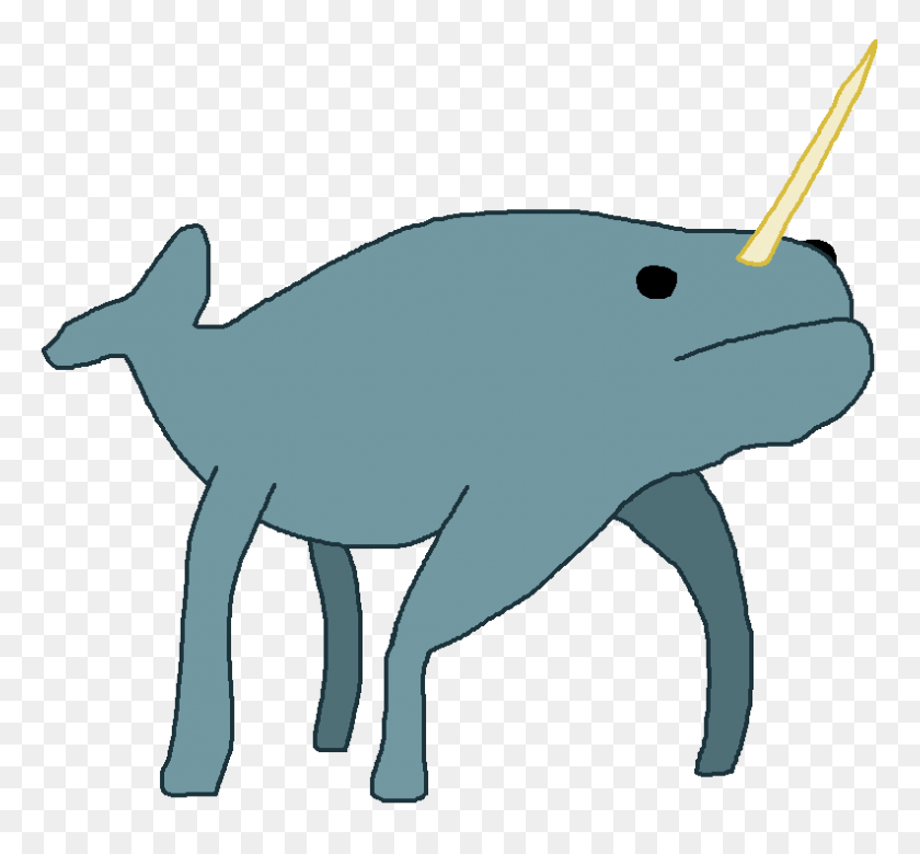 793x732 Image - Narwhal PNG